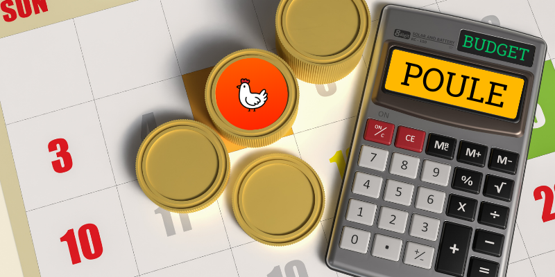 Quel budget prévoir pour une poule pondeuse sur un an