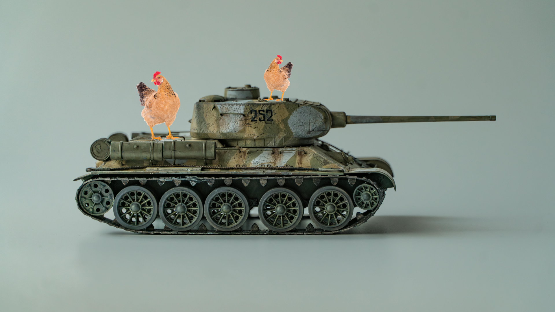 Géopolitique, céréales et poules au jardin : une chaîne qui influence le prix des œufs