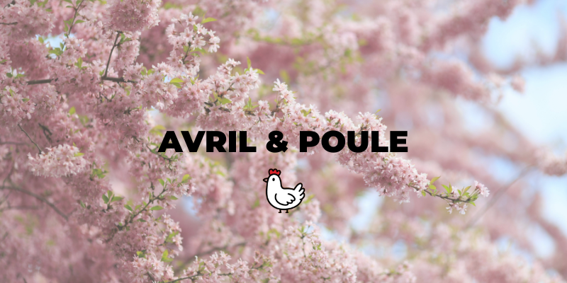Poules et poulailler en avril : plein air et printemps avancé